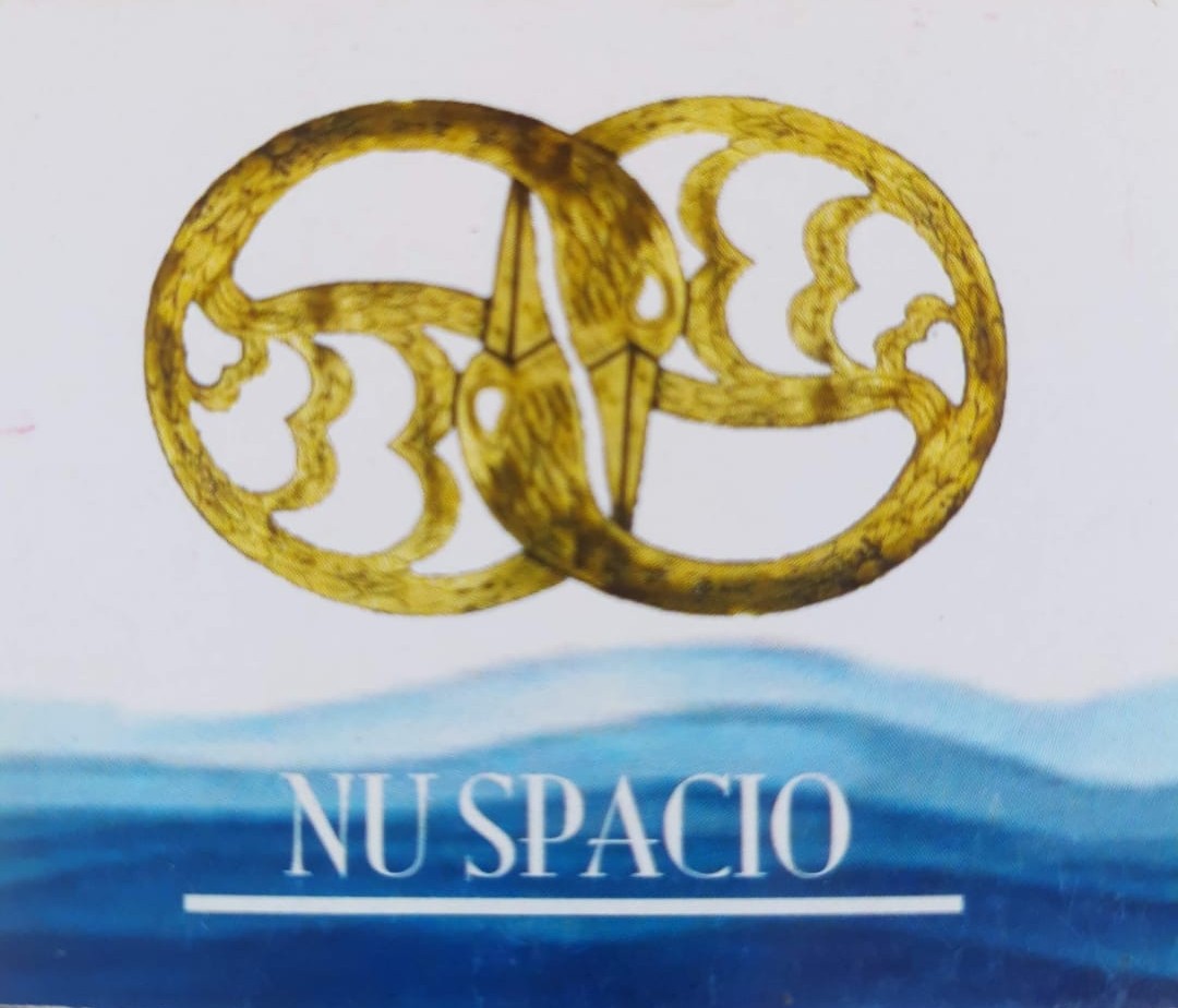 Logo Nu-Spacio